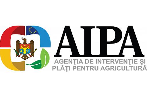 You are currently viewing Subvenționarea plantațiilor de lavandă 2010-2020