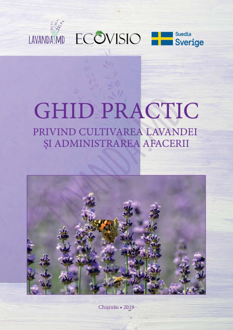 Read more about the article Ghid practic privind cultivarea lavandei și administrarea afacerii