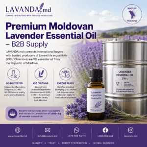 Loturi disponibile în cantități engros – Ulei esențial de Lavandula angustifolia