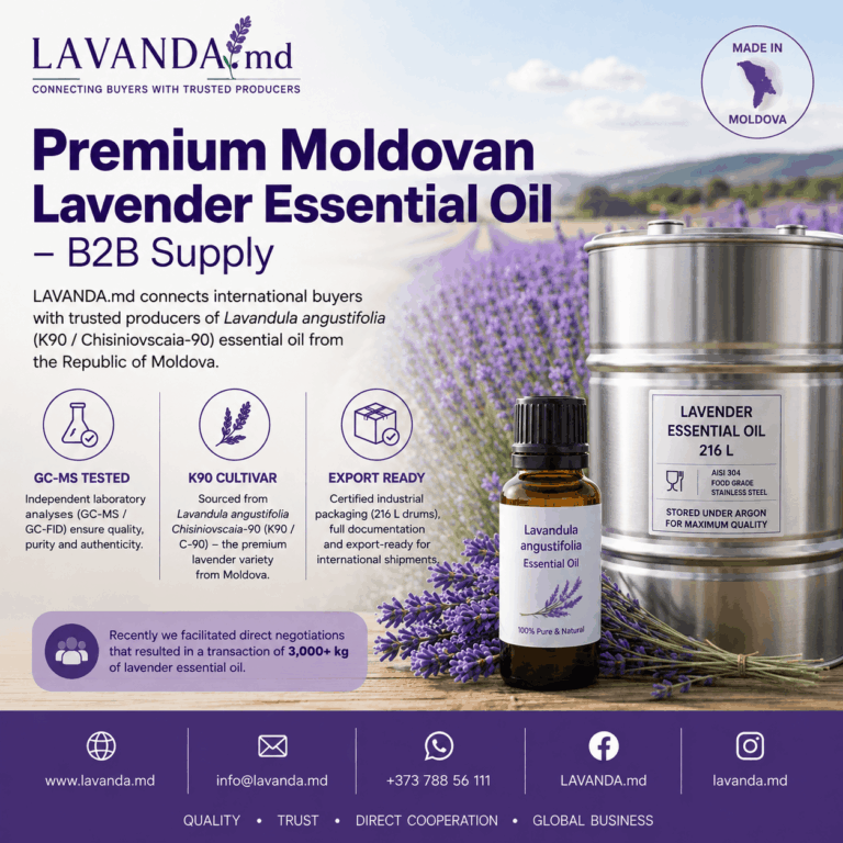 Read more about the article Export de ulei esențial de lavandă și facilitarea parteneriatelor B2B din Republica Moldova